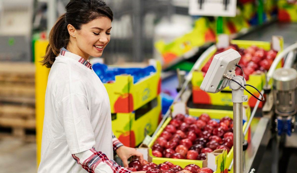 Distribución de alimentos: 8 errores que debes evitar
