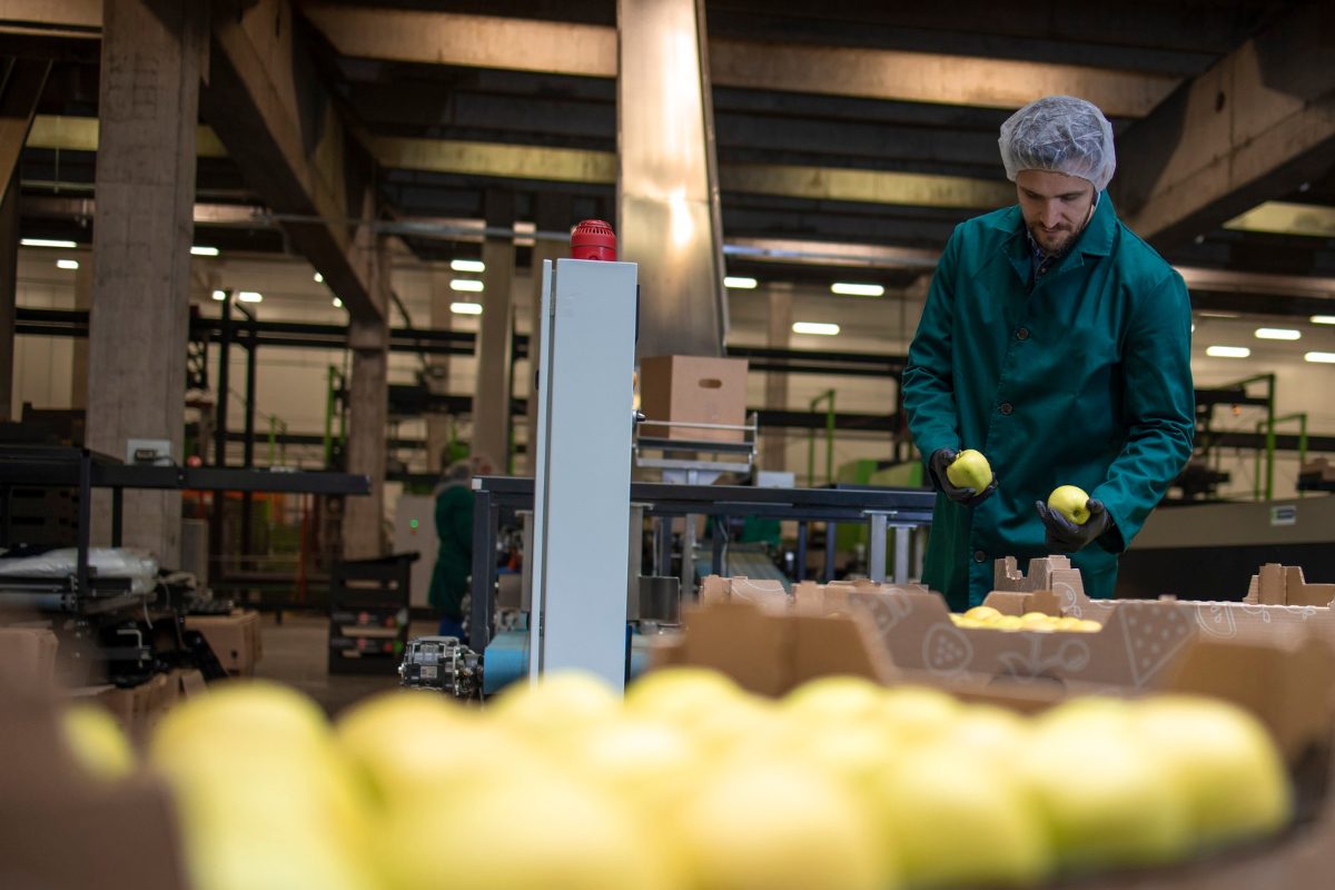 Sensores Inteligentes: 5 Beneficios para mantener la frescura de alimentos