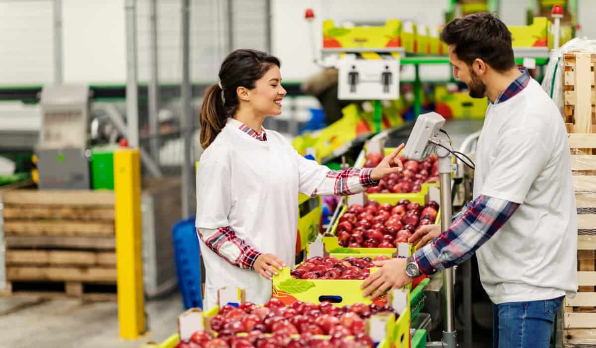 ¿Qué es un centro de distribución de alimentos y su importancia?