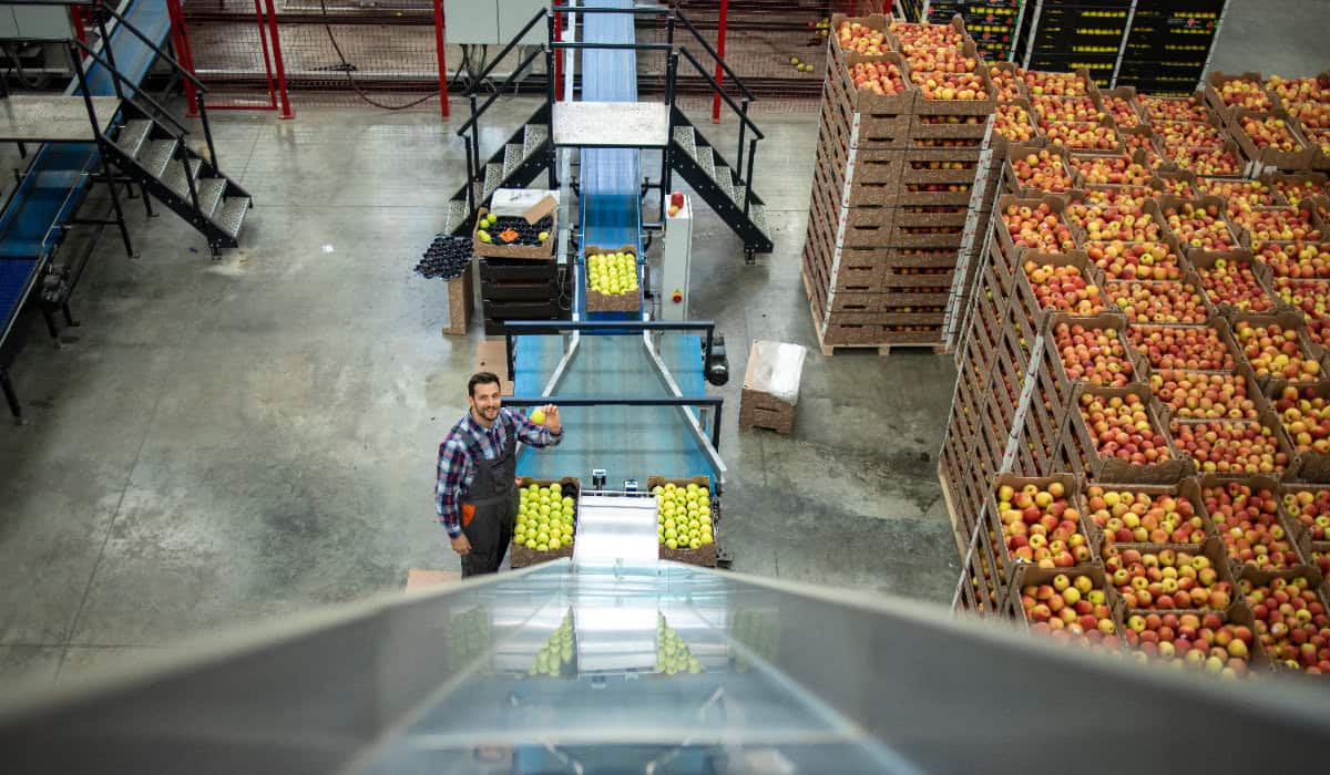 Almacenamiento en frío: ¿Cuál es la importancia en la industria alimentaria?